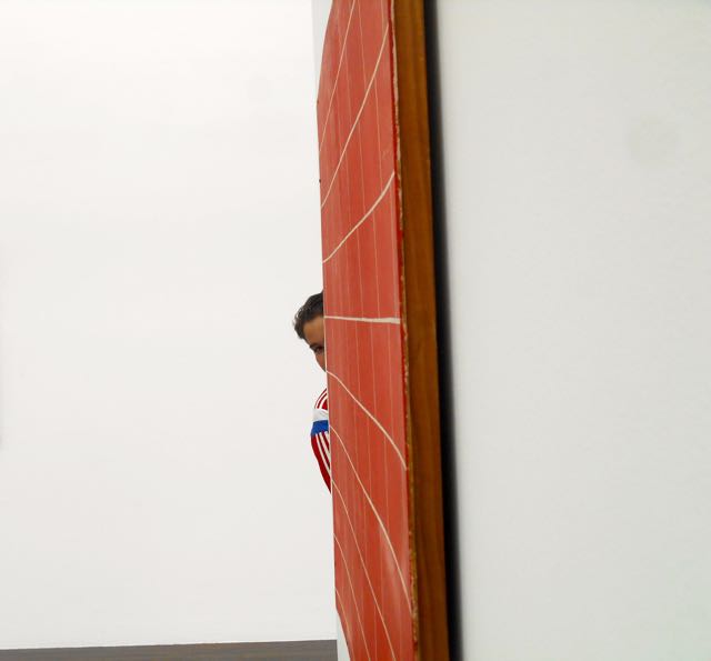 Kamel- sensartsionnel copy