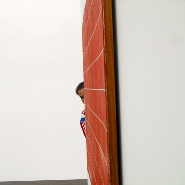 Kamel- sensartsionnel copy